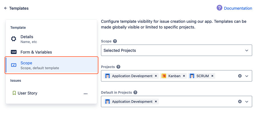 Template. Scope section.png